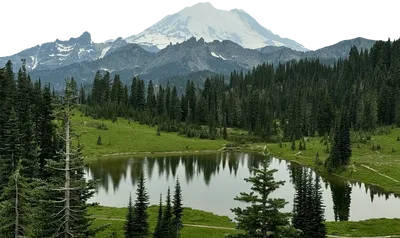 Mt Ranier